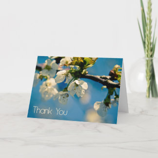 Cherry Blossom • Thank You Card
