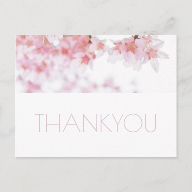 CHERRY BLOSSOM THANK YOU POST CARD (Front)