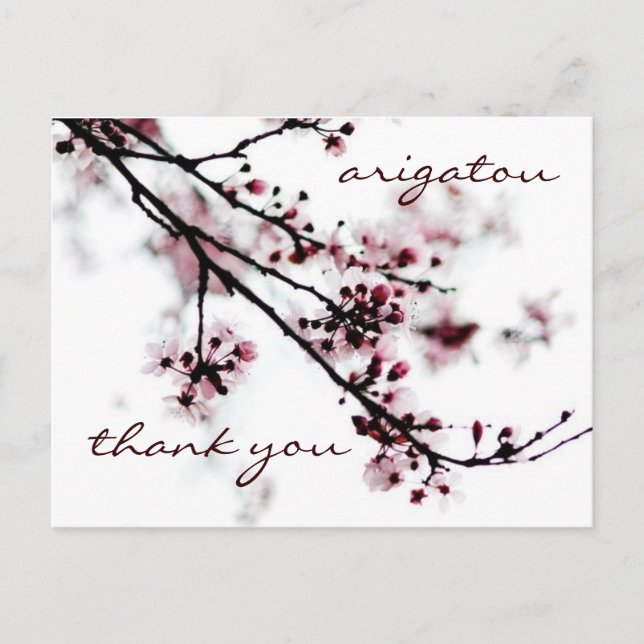 Cherry Blossom Thank You Postcard (Front)