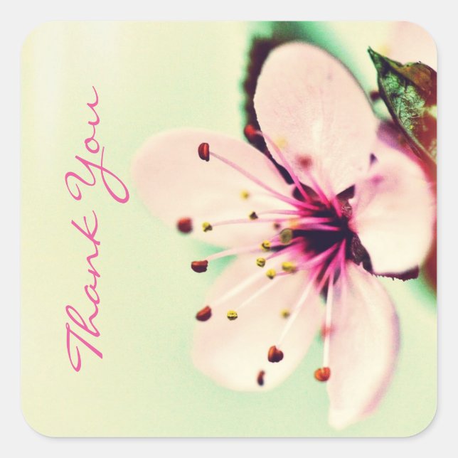 Cherry Blossom Thank You Square Sticker (Front)