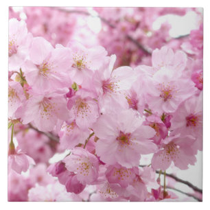 Cherry blossom tile