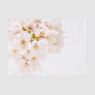 Cherry Blossom Tissue Paper