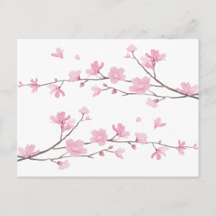 Cherry Blossom - Transparent-Background Postcard