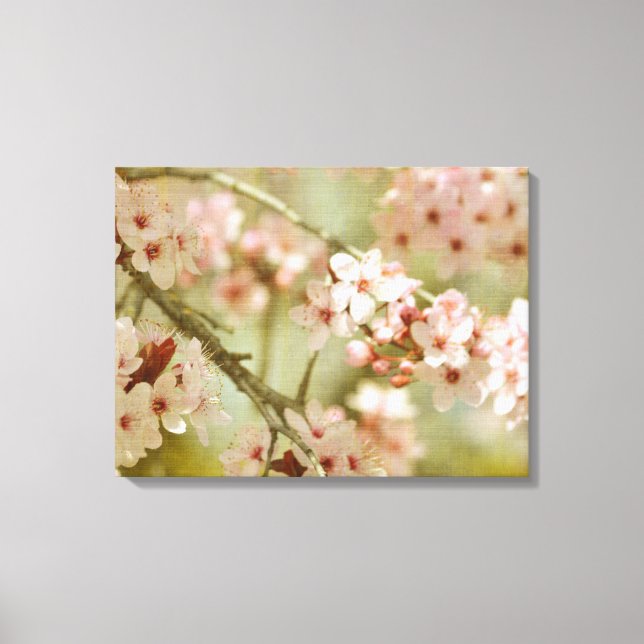Cherry Blossom Tree Floral Canvas Print (Front)