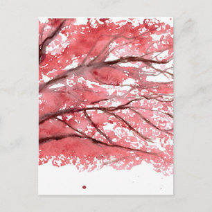 Cherry blossom tree postcard