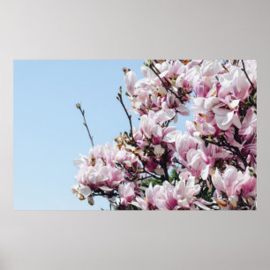 CHERRY BLOSSOM TREE POSTER
