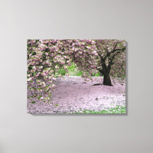 cherry blossom tree three panel wrapped canvas