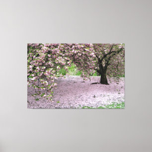 cherry blossom tree wrapped canvas