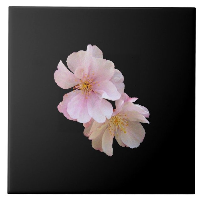 Cherry Blossom Trivet (Front)