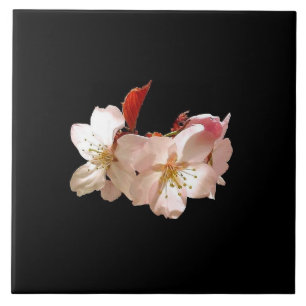 Cherry Blossom Trivet