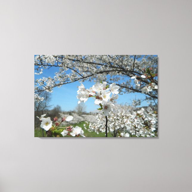 Cherry Blossom Valley Wrapped Canvas Print (Front)