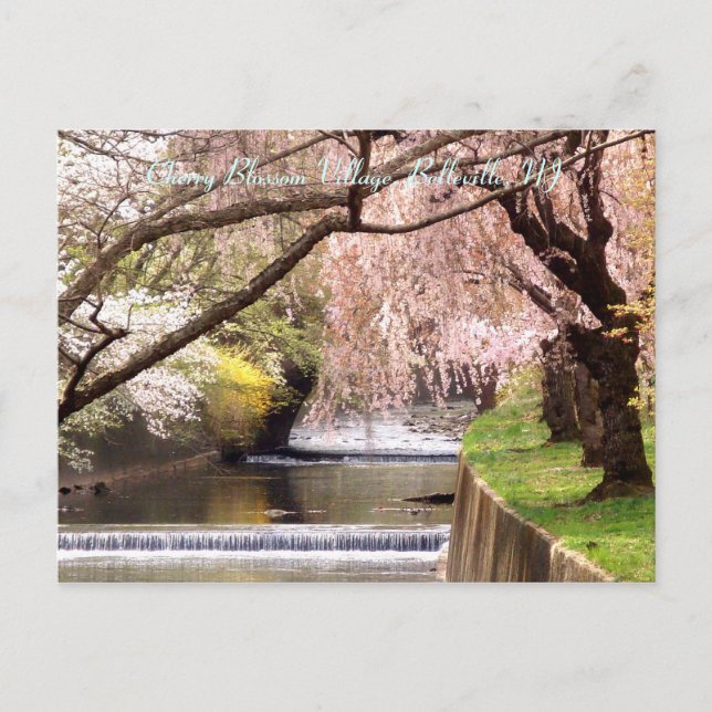 Cherry Blossom Village 04 Postcard (Front)