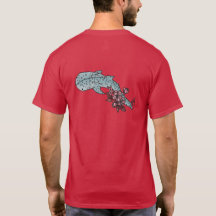 Cherry Blossom Whale Shark Back