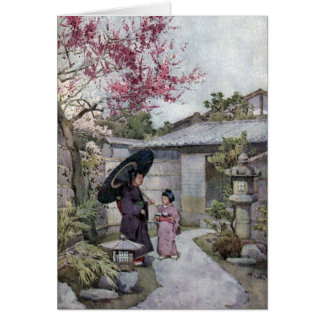 Cherry Blossoms