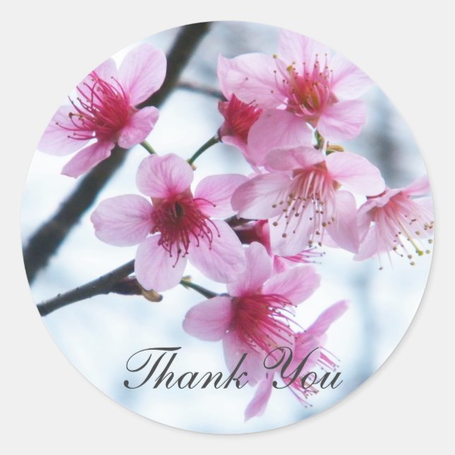 Cherry Blossoms - A Classic Round Sticker (Front)