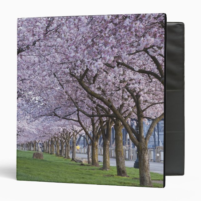 Cherry blossoms along Willamette river, USA Binder (Front/Inside)