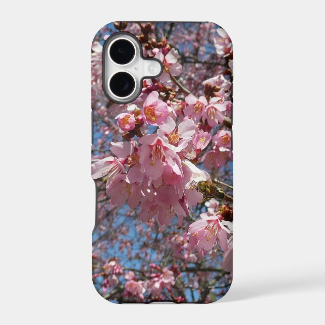 Cherry Blossoms and Bee Pink Spring Flowers (Back)