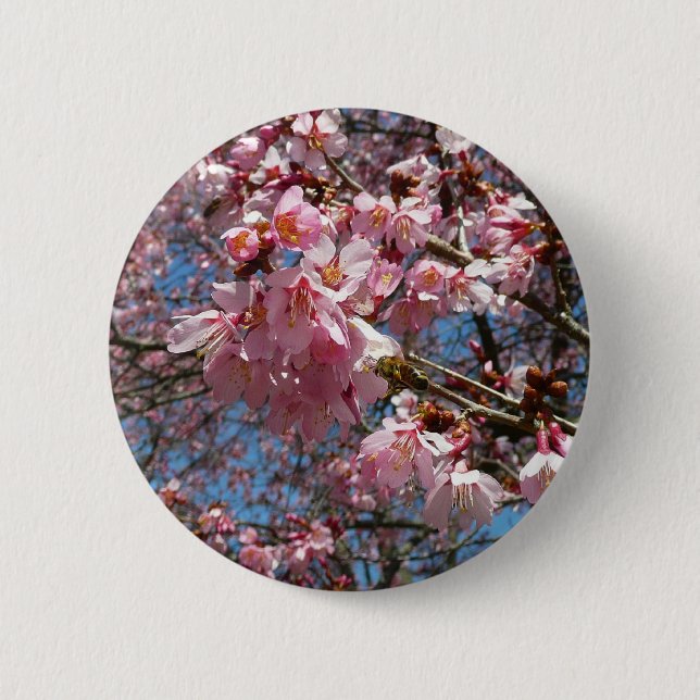 Cherry Blossoms and Bee Pink Spring Flowers 2 Inch Round Button (Front)