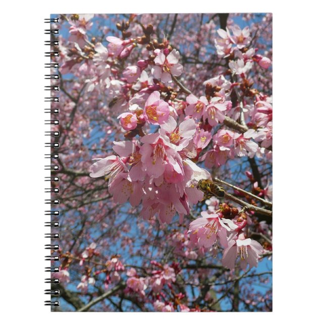 Cherry Blossoms and Bee Pink Spring Flowers Notebook (Front)