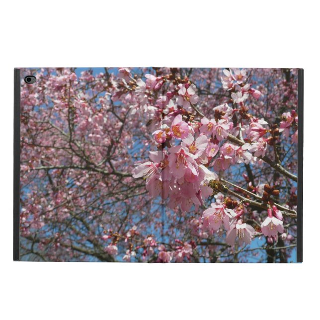 Cherry Blossoms and Bee Pink Spring Flowers Powis iPad Air 2 Case (Outside)