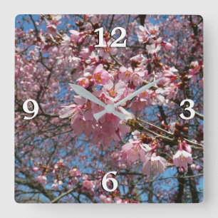 Cherry Blossoms and Bee Pink Spring Flowers Square Wall Clock