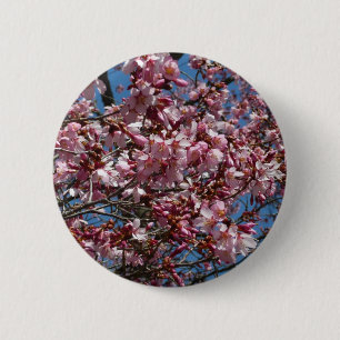 Cherry Blossoms and Blue Sky Spring Floral 2 Inch Round Button