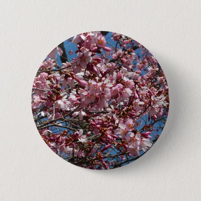 Cherry Blossoms and Blue Sky Spring Floral 2 Inch Round Button (Front)