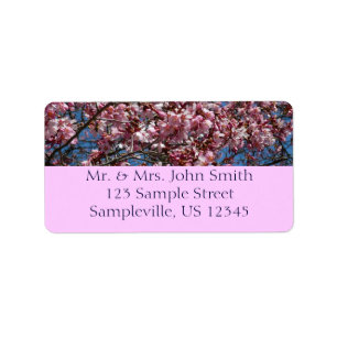 Cherry Blossoms and Blue Sky Spring Floral Label