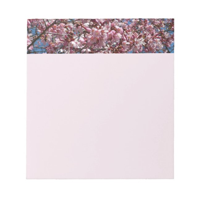 Cherry Blossoms and Blue Sky Spring Floral Notepad (Front)