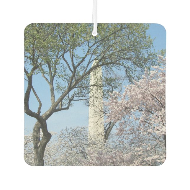 Cherry Blossoms and the Washington Monument in DC Car Air Freshener (Front)