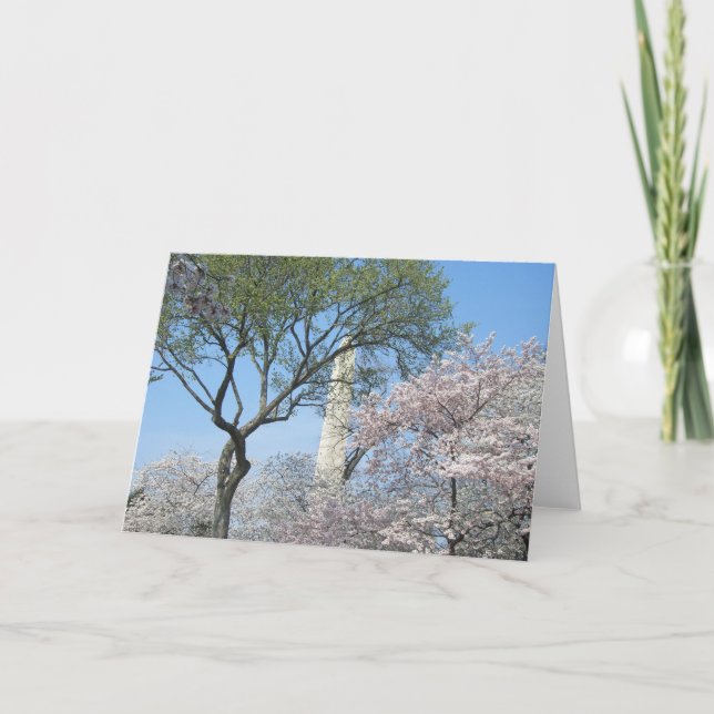 Cherry Blossoms and the Washington Monument in DC Card (Front)