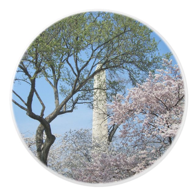 Cherry Blossoms and the Washington Monument in DC Ceramic Knob (Front)
