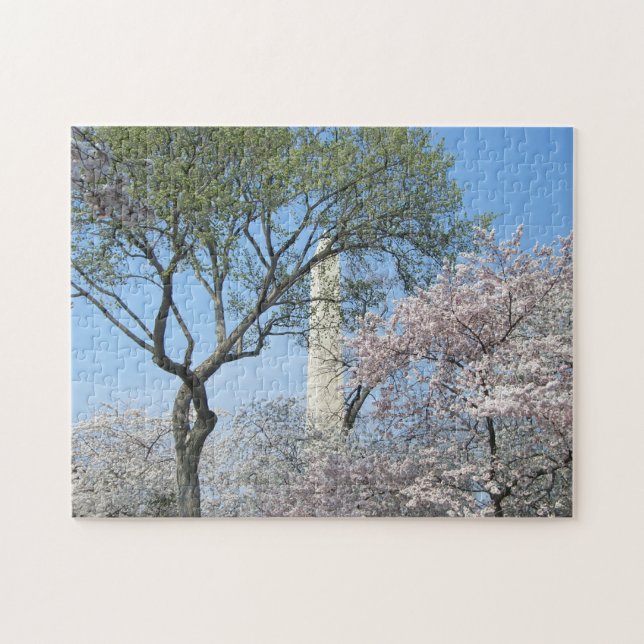 Cherry Blossoms and the Washington Monument in DC Jigsaw Puzzle (Horizontal)