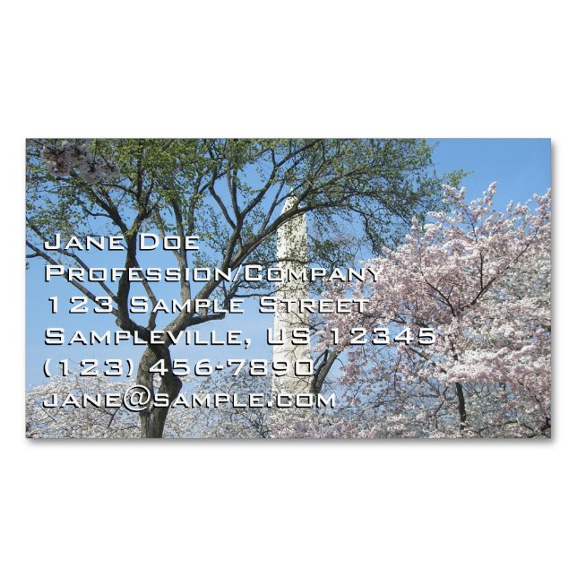 Cherry Blossoms and the Washington Monument in DC Magnetic Business Card (Front)