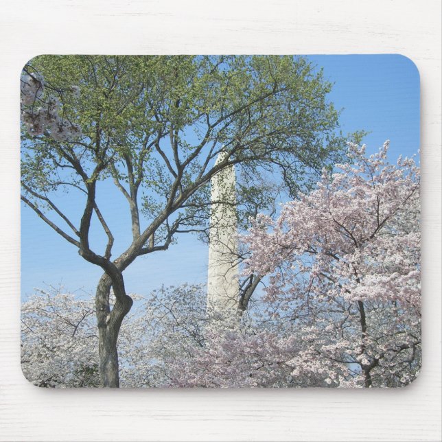 Cherry Blossoms and the Washington Monument in DC Mouse Pad (Front)