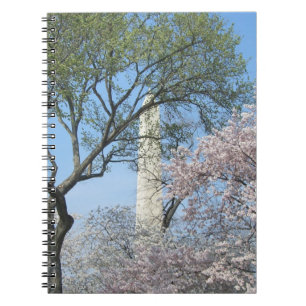 Cherry Blossoms and the Washington Monument in DC Notebook