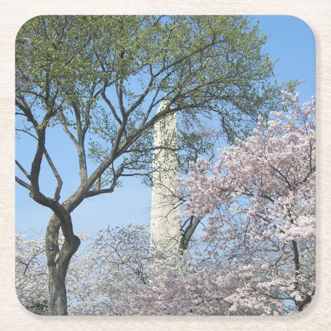 Cherry Blossoms and the Washington Monument in DC Square Paper Coaster (Front)