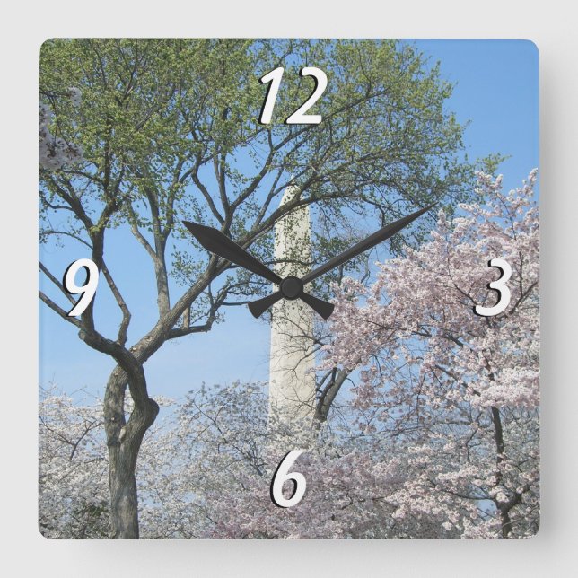 Cherry Blossoms and the Washington Monument in DC Square Wall Clock (Front)
