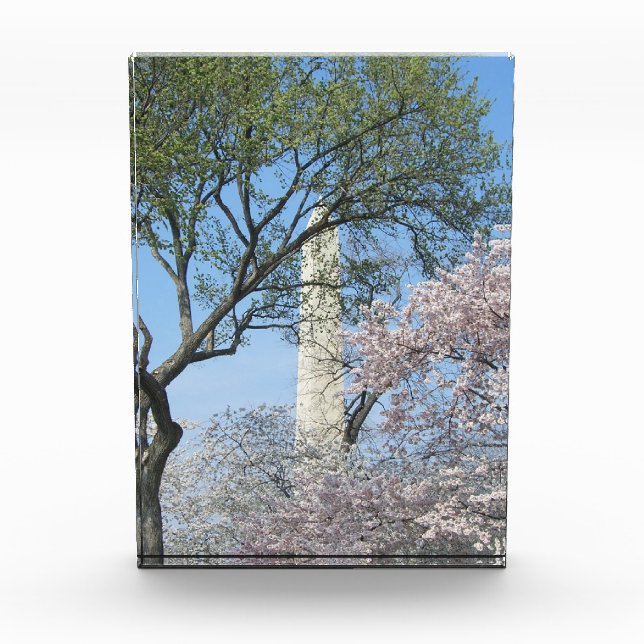 Cherry Blossoms and the Washington Monument Photo Block (Front)