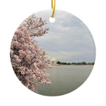 Cherry Blossoms at the Tidal Basin