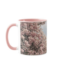 Cherry Blossoms at the Tidal Basin