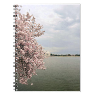 Cherry Blossoms at the Tidal Basin Notebook