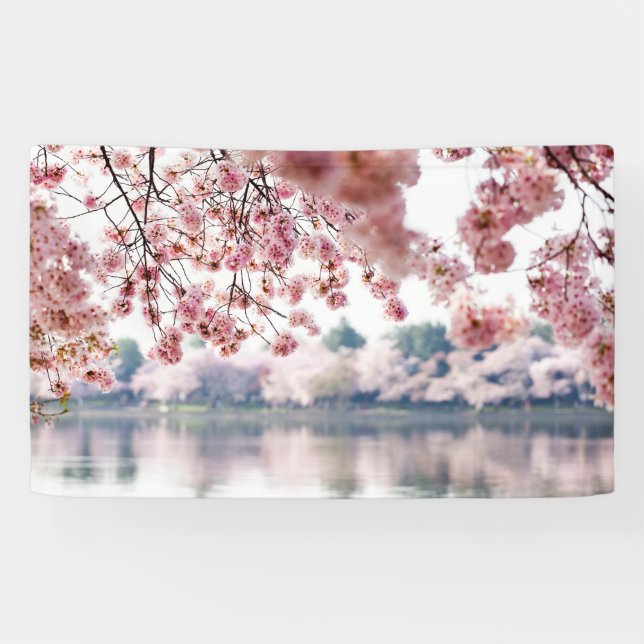 Cherry Blossoms Banner (Horizontal)