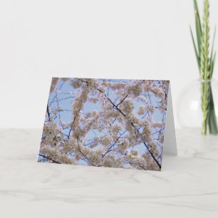 'Cherry Blossoms' Blank Greeting Card