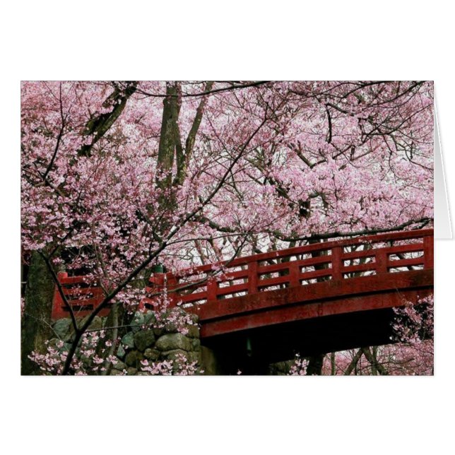 Cherry Blossoms (blank inside) (Front Horizontal)
