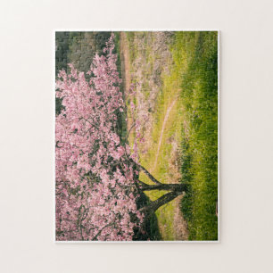 Cherry blossoms blooming in the rural hill jigsaw puzzle