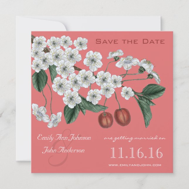 Cherry Blossoms Branch Save the Date Invitation (Front)