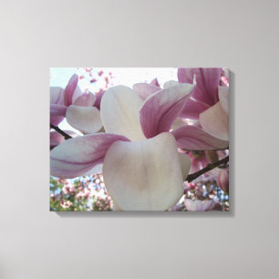 Cherry Blossoms Canvas Print