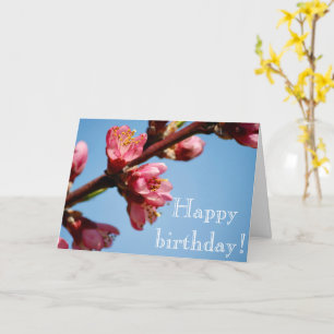 Cherry Blossoms Carte de Bénédiction Anniversaire