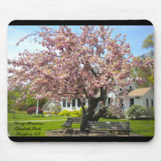 Cherry Blossoms, Elizabeth Park, Hartford CT Mouse Pad